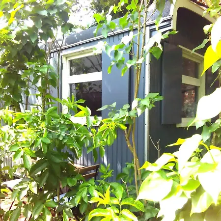 Dolly Blue Campsite *